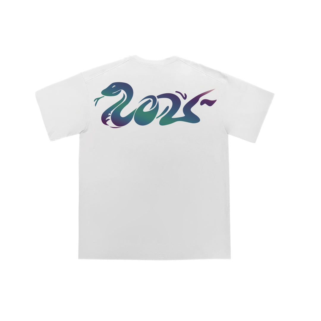 "2025" Reflective Print Oversized Tee - 2079